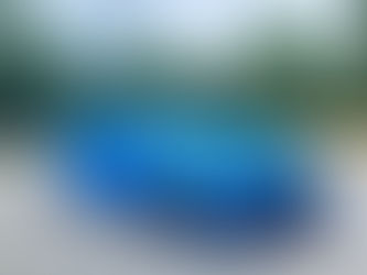 2019 VW GTI Rabbit Edition