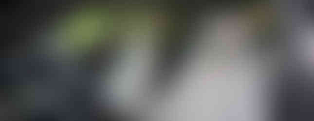 Hyundai Elantra Hybrid front seats