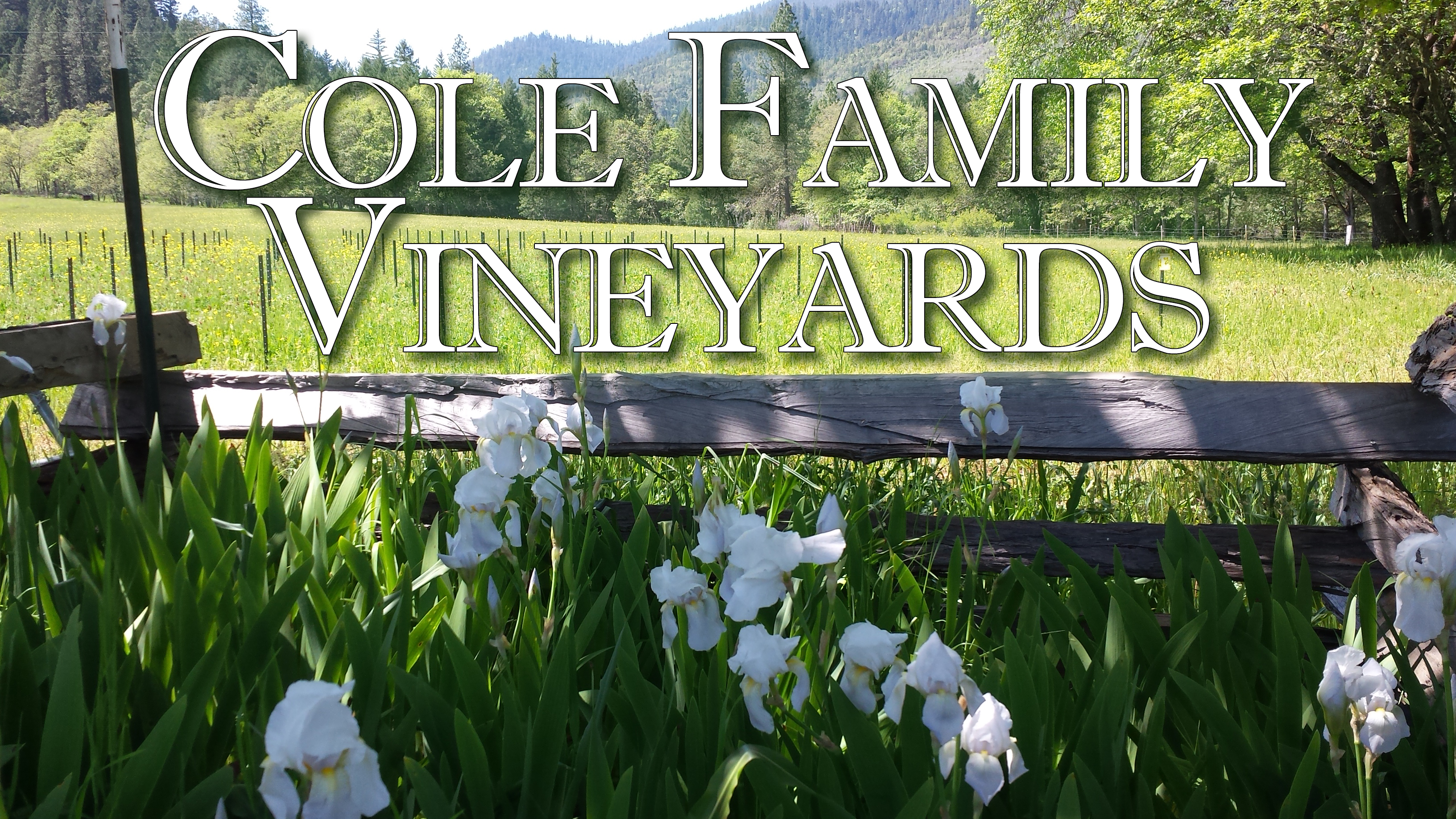 Cole Family Vineyards