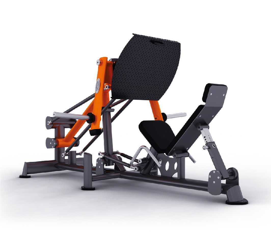 Leg Press Bridge