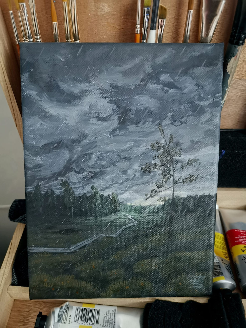 Thumbnail: #58 Suo ja loppukesän myräkkä