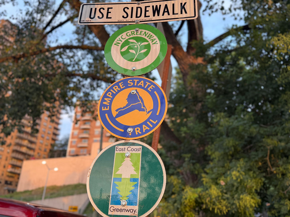 The NYC Traveler Tips For Your Trips