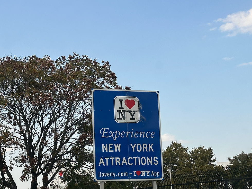 The NYC Traveler Tips for Your New York Trip