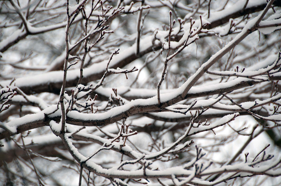 The NYC Traveler Blog Tips for Your Trips