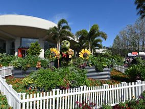 Epcot