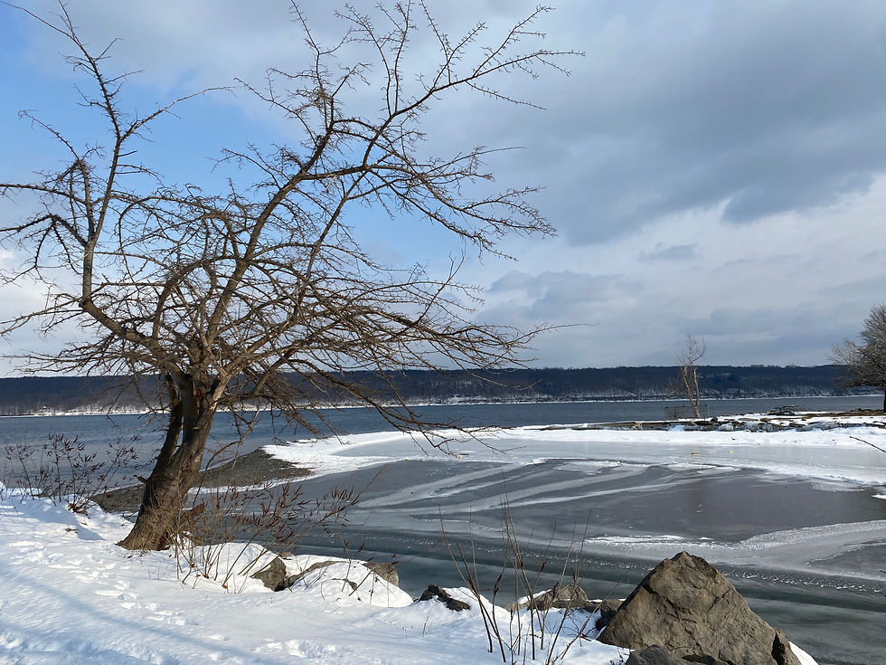 The NYC Traveler Blog