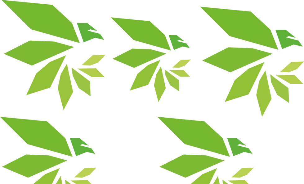 FUNDO 3 WIX.png