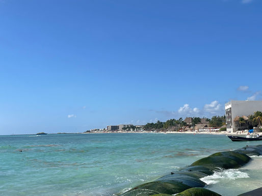 4 AVANTAGES D'INVESTIR EN IMMOBILIER AU MEXIQUE SUR LA RIVIERA MAYA!