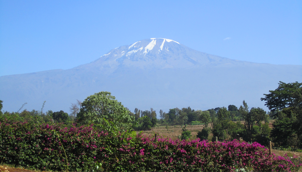 Mt Kili from Rainbow Ridge_edited.png