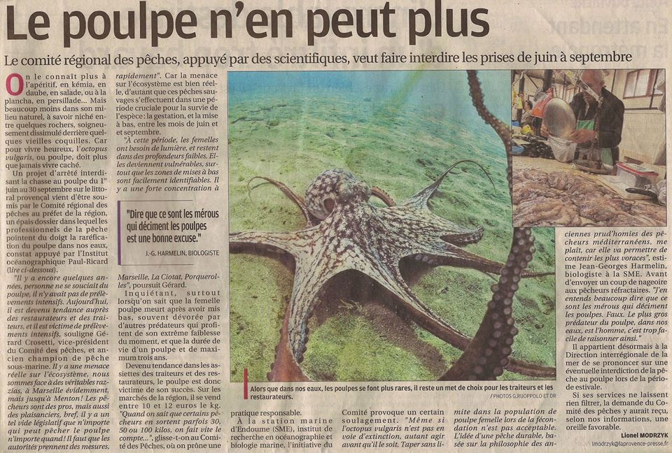 Le poulpe n'en peut plus!