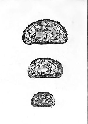 scan 1_Page_4.jpg