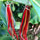 Thumbnail: Liann Fabric Dangle Earrings  (Orange)