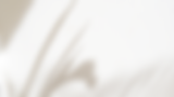VIDEO DE INTRODUCCION A (1).png