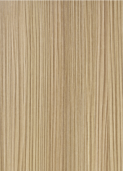 WS-F0205