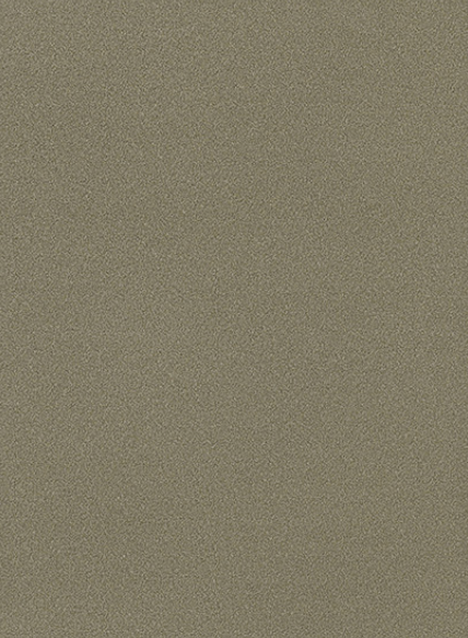 WS-2051