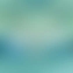 friends in a car on a road trip