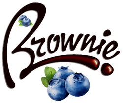 Blueberry Brownie