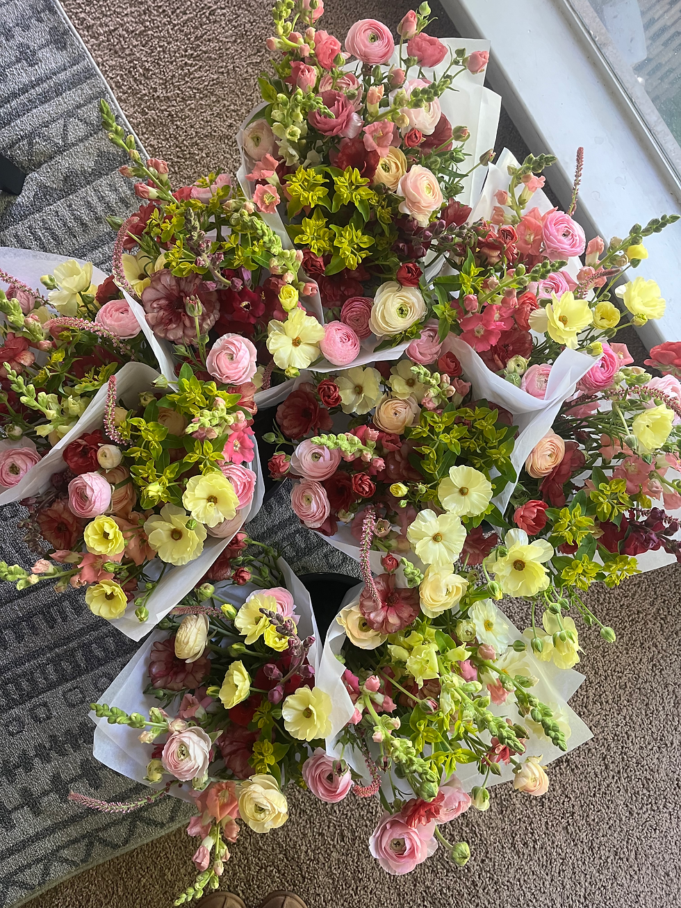 Thumbnail: 2026 Spring Subscription