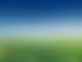 Vazio Sanitário: Estratégia Crucial no Combate à Ferrugem Asiática da Soja