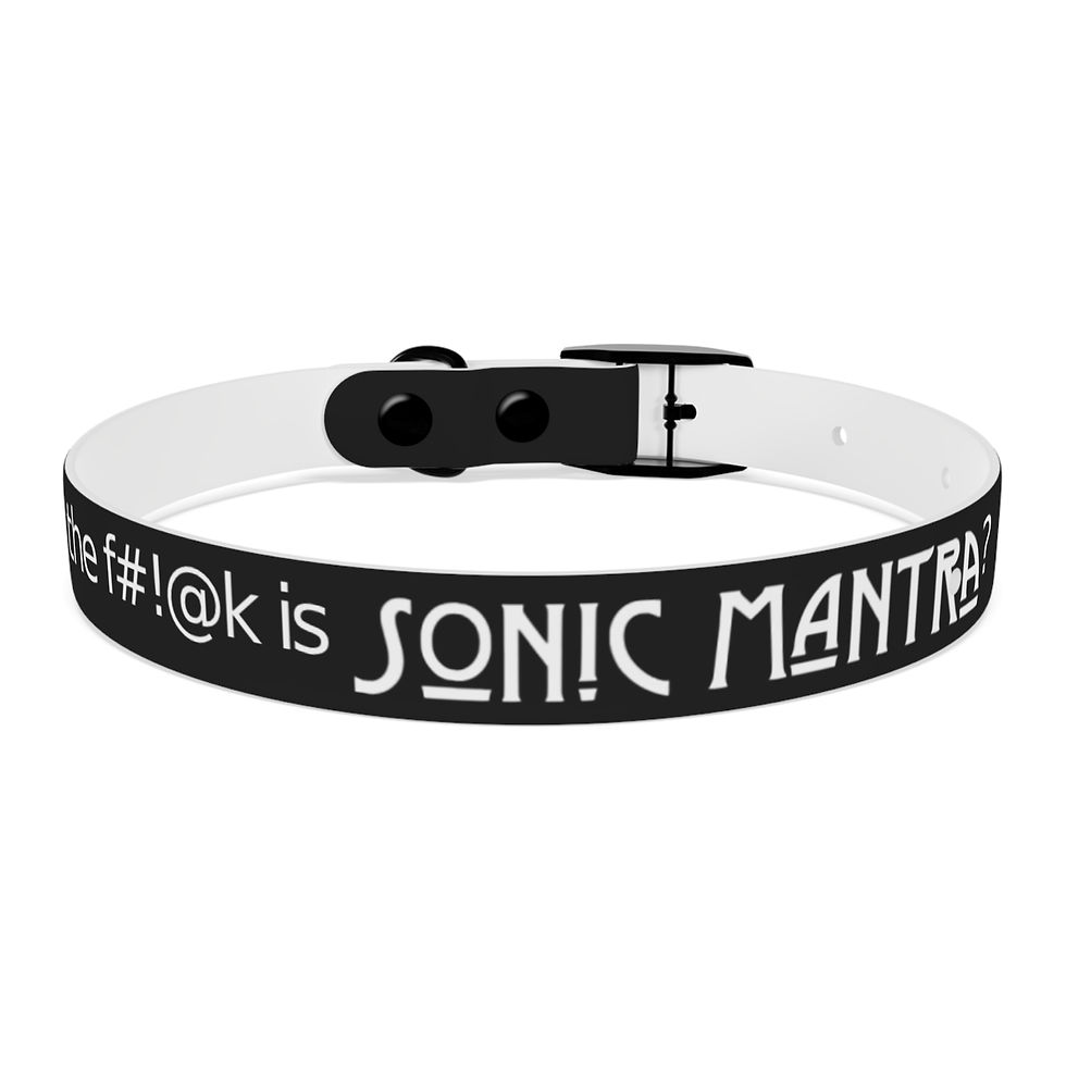 Thumbnail: Sonic Mantra Pet Collar