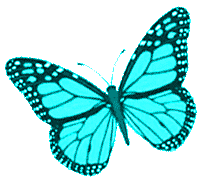 borboletas-butterfly turquoise.gif