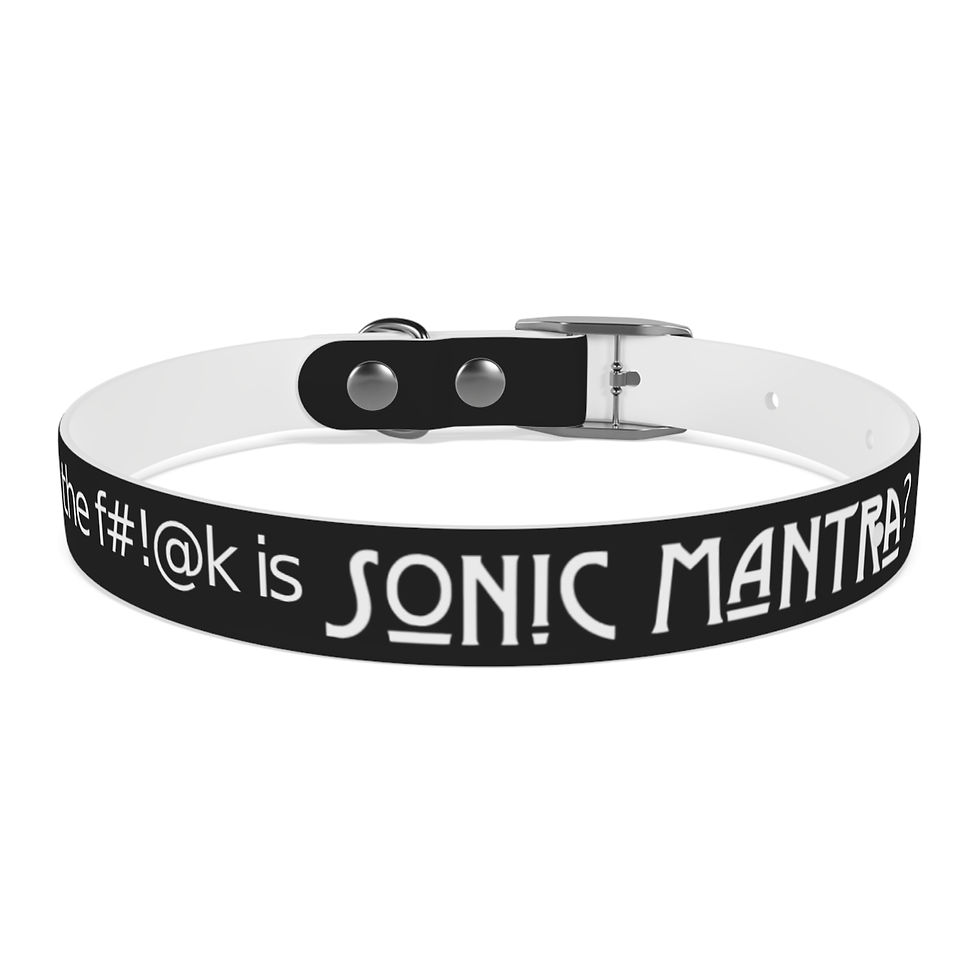 Thumbnail: Sonic Mantra Pet Collar