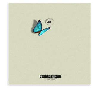 sleeve.png