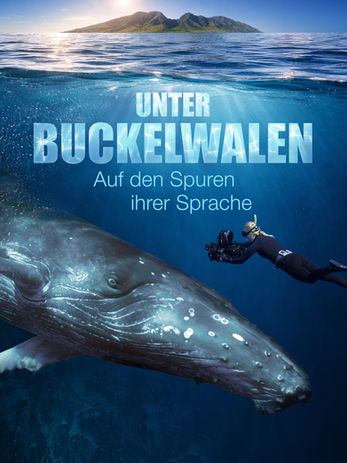 Unter Buckelwalen, Studio Kino, 09. Mai, 18:00 Uhr