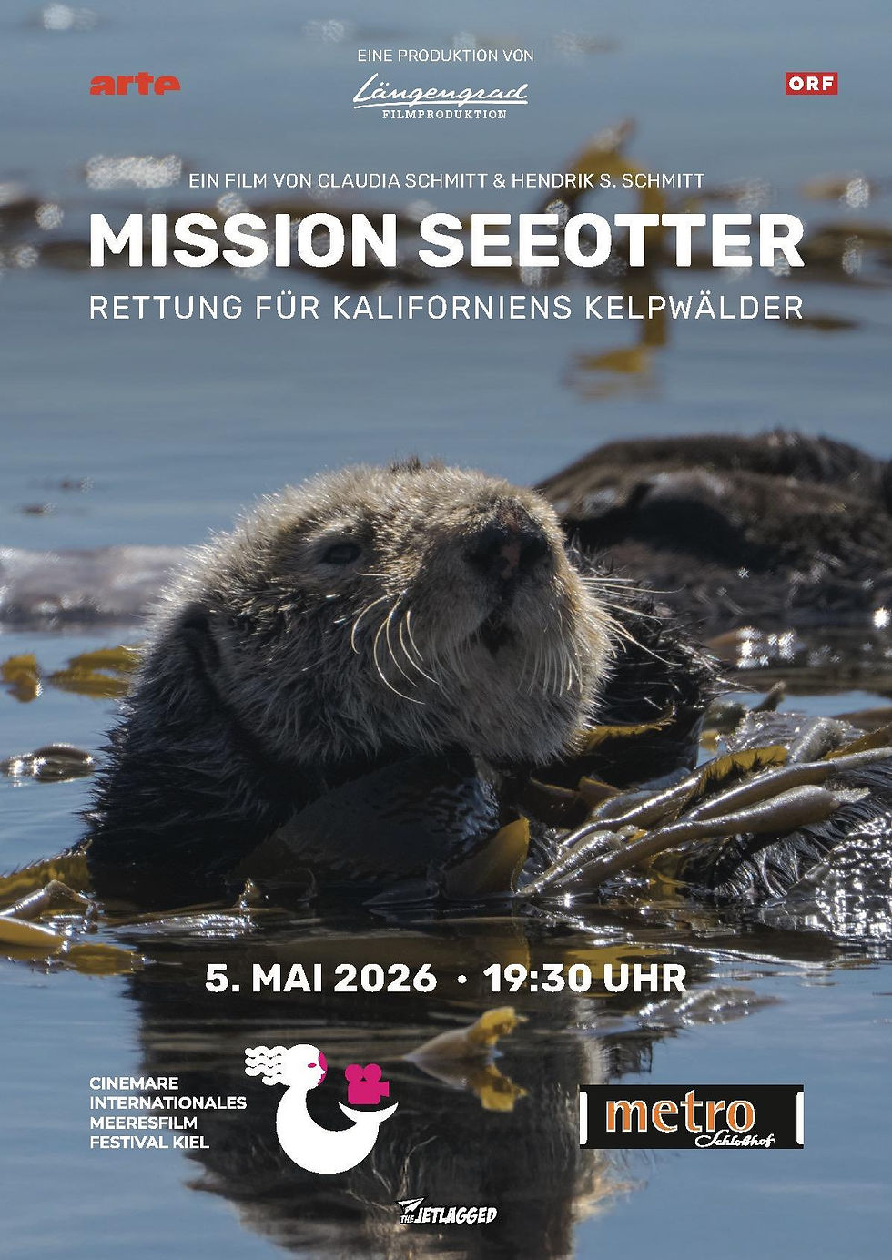 Das Gesicht eines Seeotter, welches aus dem See herausragt.