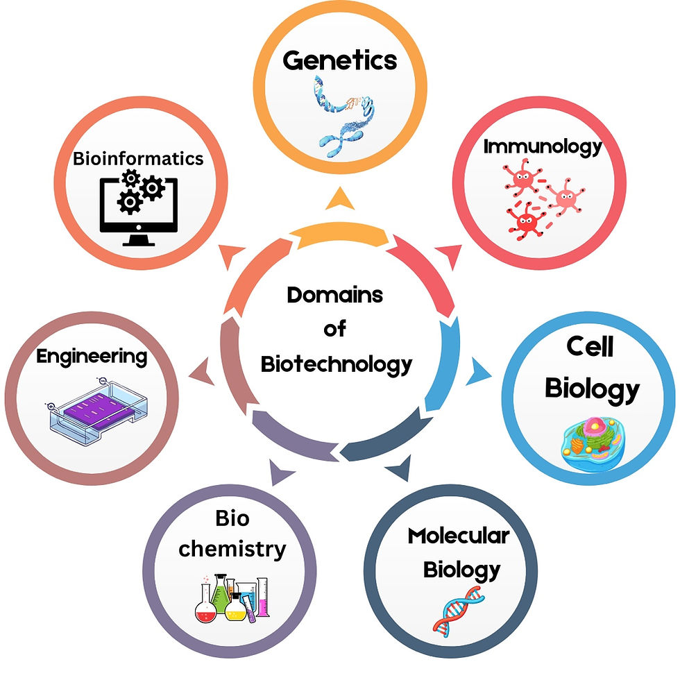 Domains Of Biotechnology