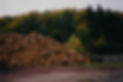 Stacked Logs Outdoors_edited.jpg