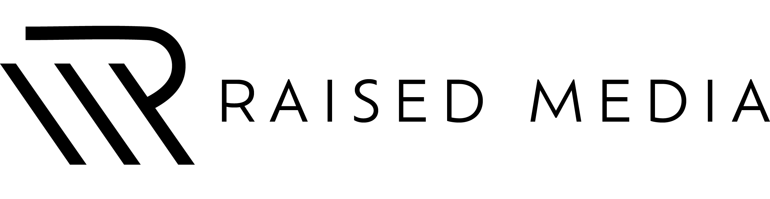 RAISED MEDIA CO HEADER BLACK-04.png