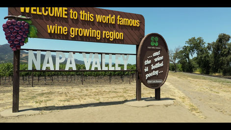 Jazzing Up the Blue Note Jazz Festival: A Two-Year Visual Symphony