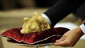 Truffle Auction.jpeg