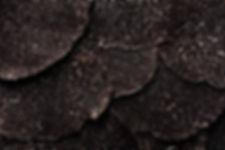 Urbani Truffles Amazing Photos.jpeg