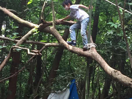 「危険な遊び」のビックリ効果