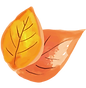 22079703_edited.png