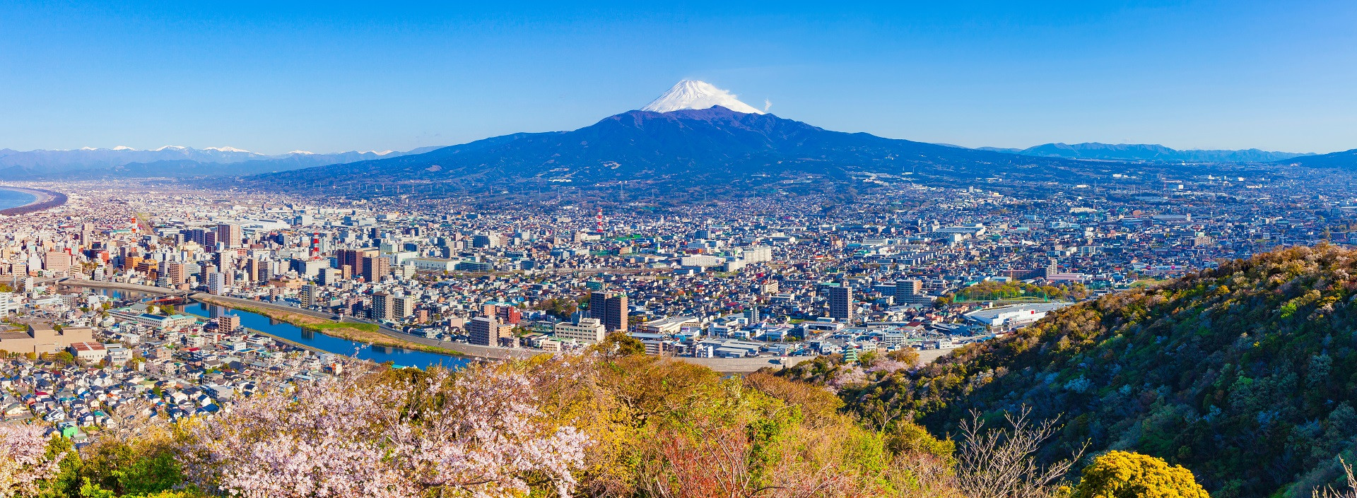 静岡県沼津市 内科 小児科 リウマチ科 田中医院の写真(静岡県沼津市)