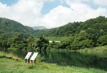 新山沼

