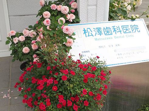 松澤歯科医院看板