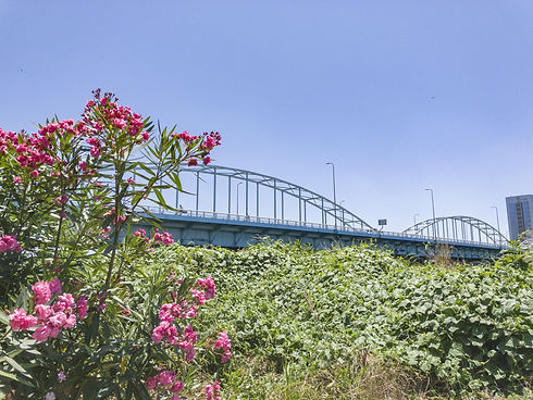 川崎市幸区