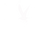 WHITE BIRD.png