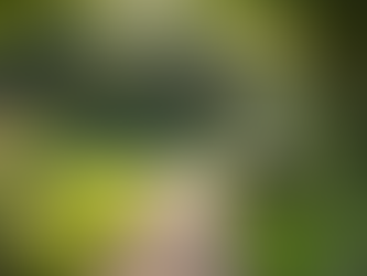 Embracing Stillness: The Art of Thoughtful Creation