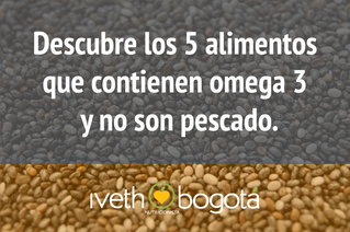 5 alimentos con Omega 3 no marinos