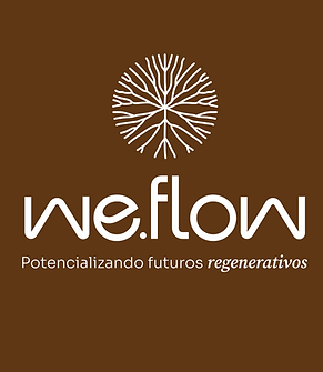 WeFlow_2025_02.png