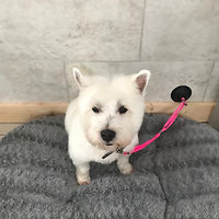 C27F164C-732A-4261-A1B3-61AFC9B8D8D5.jpe