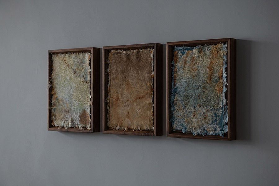 縫隙裡的時間 detail