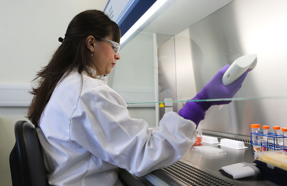 Scientist at work in lab
