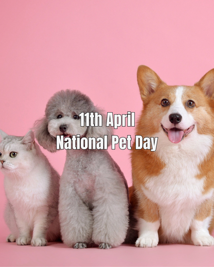 "11th April National Pet Day" Image of cat and two dogs