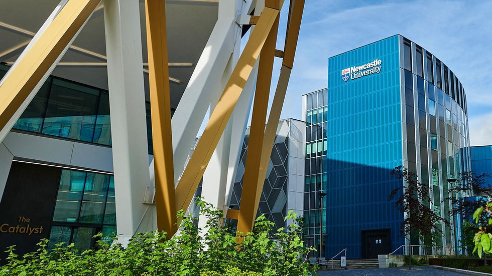 Newcastle Helix Site